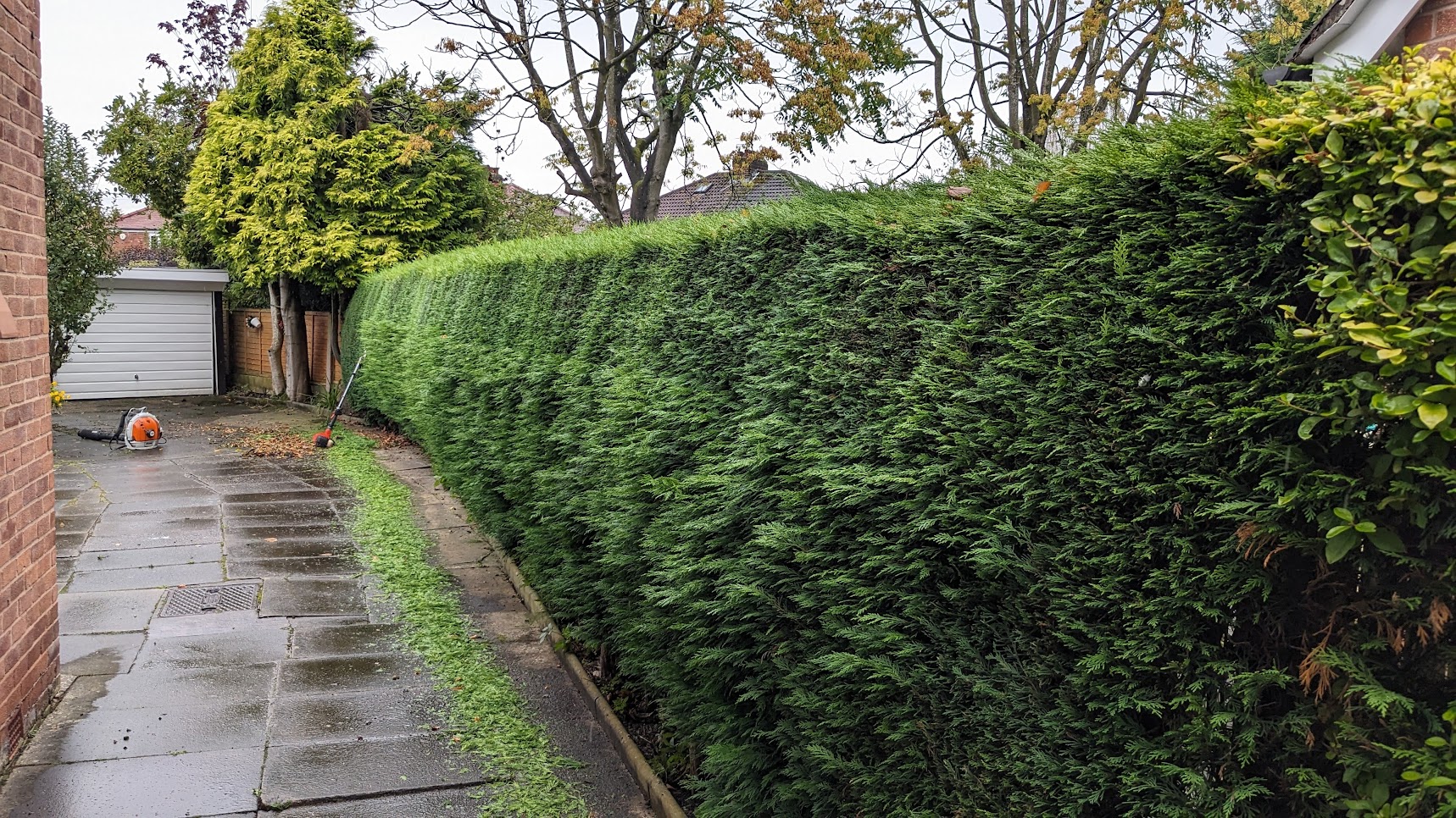 Hedge trimming, before