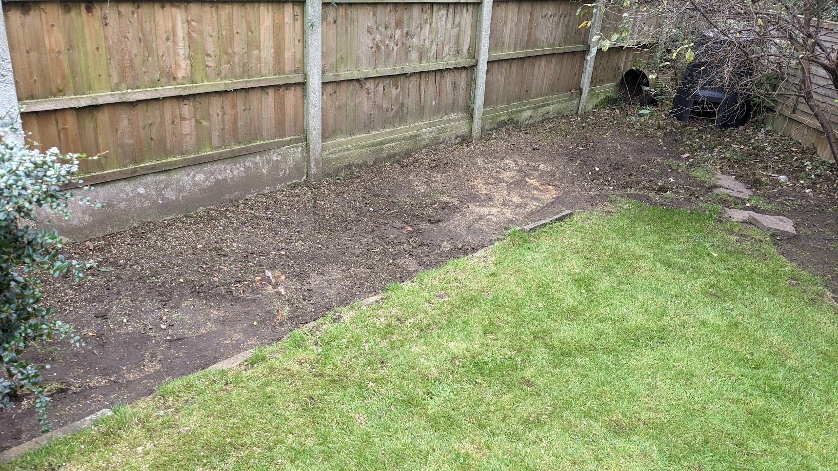 Tree removal, after